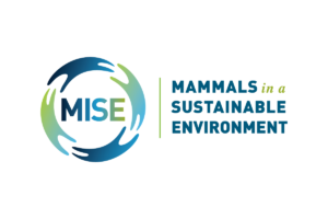 MISE logo